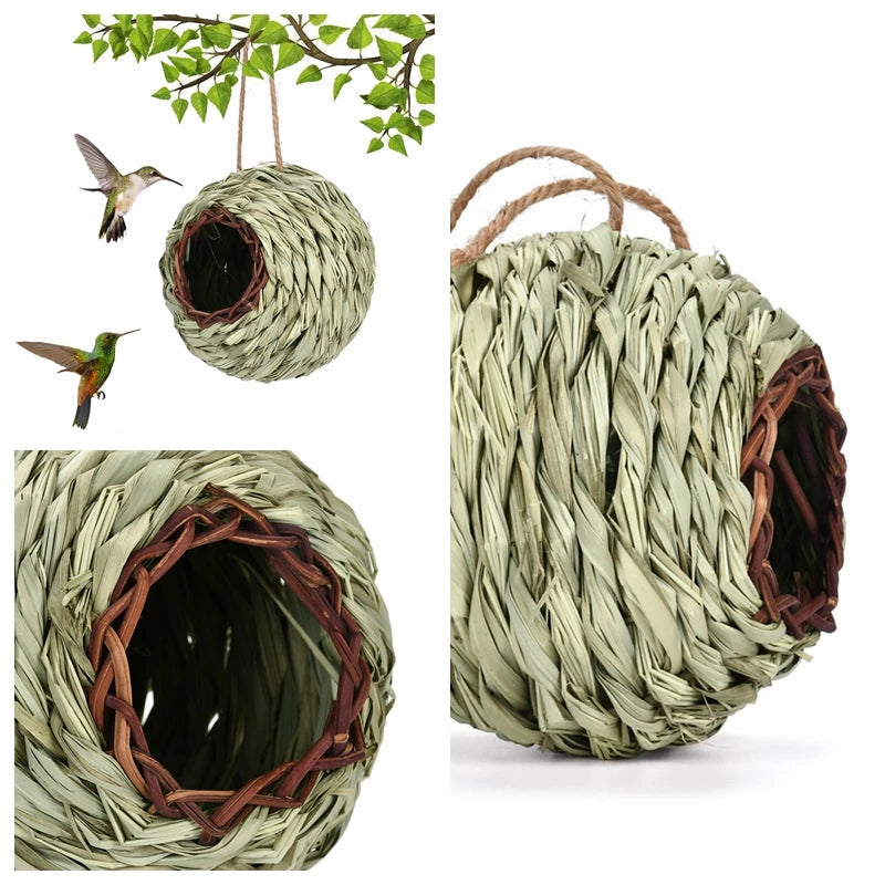 Discover the Charm of the Grass Weaved Bird Nest